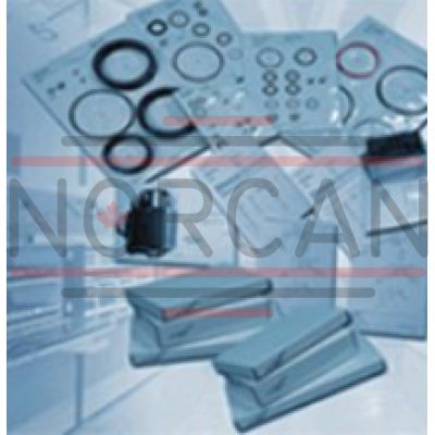 Bosch Rexroth-R978711842-R978711842