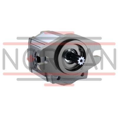 Bosch Rexroth-R979107368-R979107368