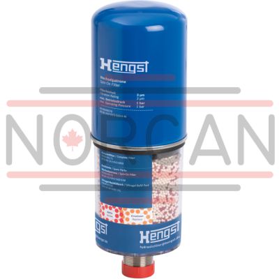Hengst-1013428B-1013428B